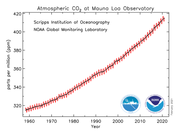 Graph CO2-Konzentration - Mauna Loa Observatory