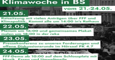 Klimawoche mit Fridays for Future in Braunschweig