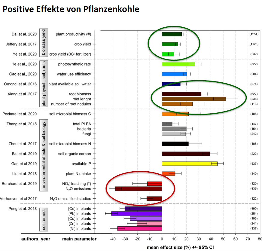 Positive Eigenschaften von Pflanzenkohle