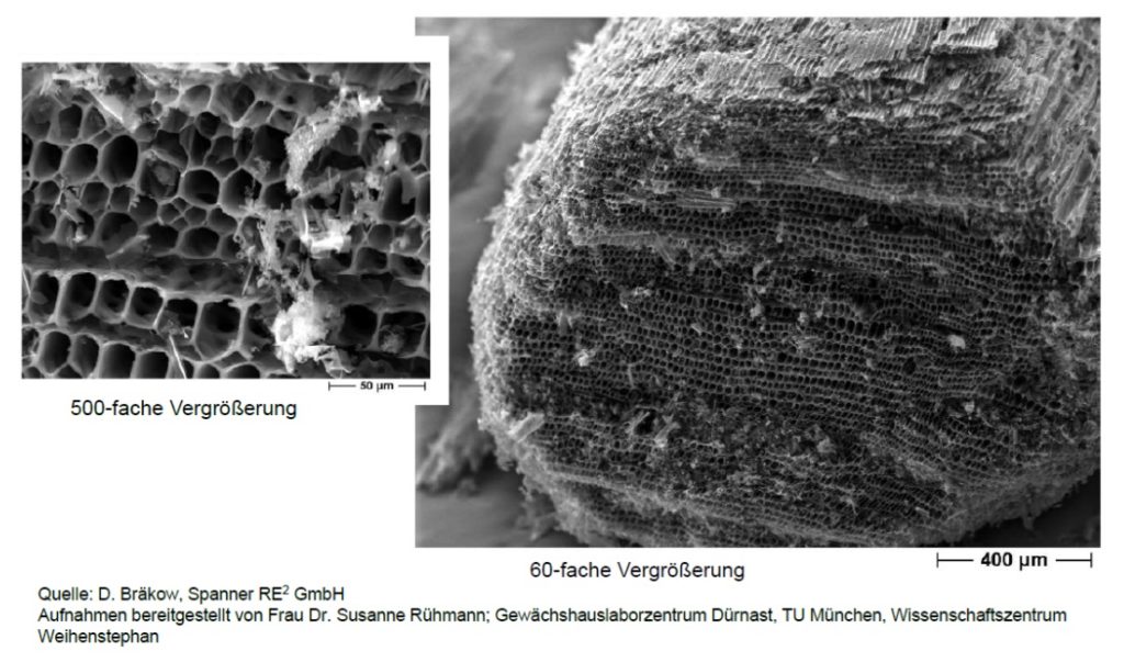 Mikroskopaufnahmen von Pflanzenkohlen.